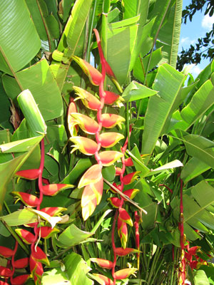 The Spa The Spa - The Spa Retreat Boutique Resort & Spa- Negril, Jamaica Resorts and Hotels