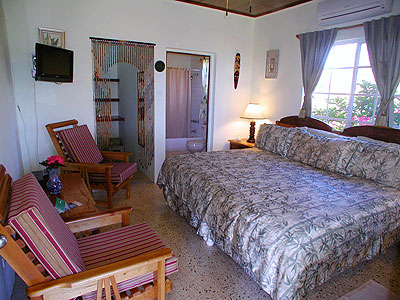 Garden One Bedroom Condo (Penthouse Upper) and Studio One Bedroom (Lower) Garden One Bedroom Condo (Penthouse Upper) and Studio One Bedroom (Lower) - Westender Inn, Negril Jamaica Resorts and Hotels