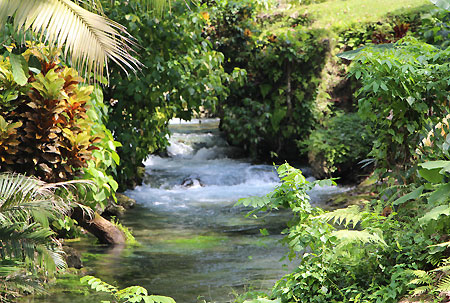 Roaring River Up Close 02 1