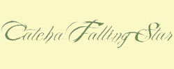 Catcha Falling Star