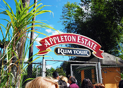 Appleton Estate Rum Tour Appleton Estate