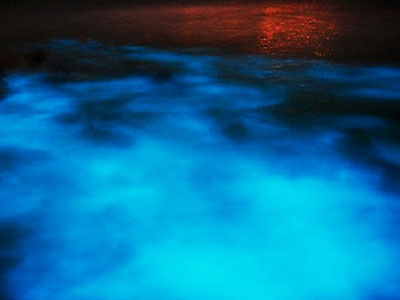 Glistening Waters Luminous Lagoon