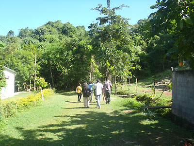 Green Island Tour Arawak Cave Path