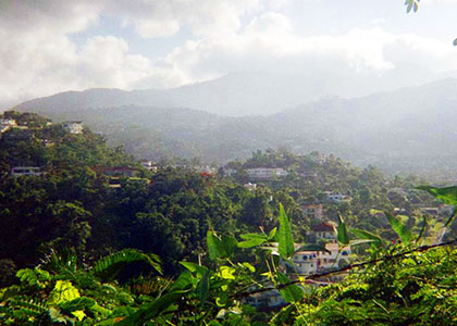 Jamaica Blue Mountains Growing Blue Mountain Coffee in Jamaica