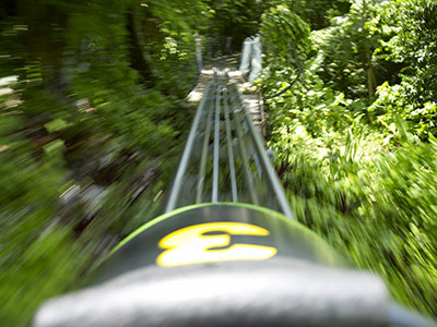 Mystic Mountain Adventure Tours Bobsled Fast Bobsled Jamaica Includes:
- Duration: 20-30 minutes