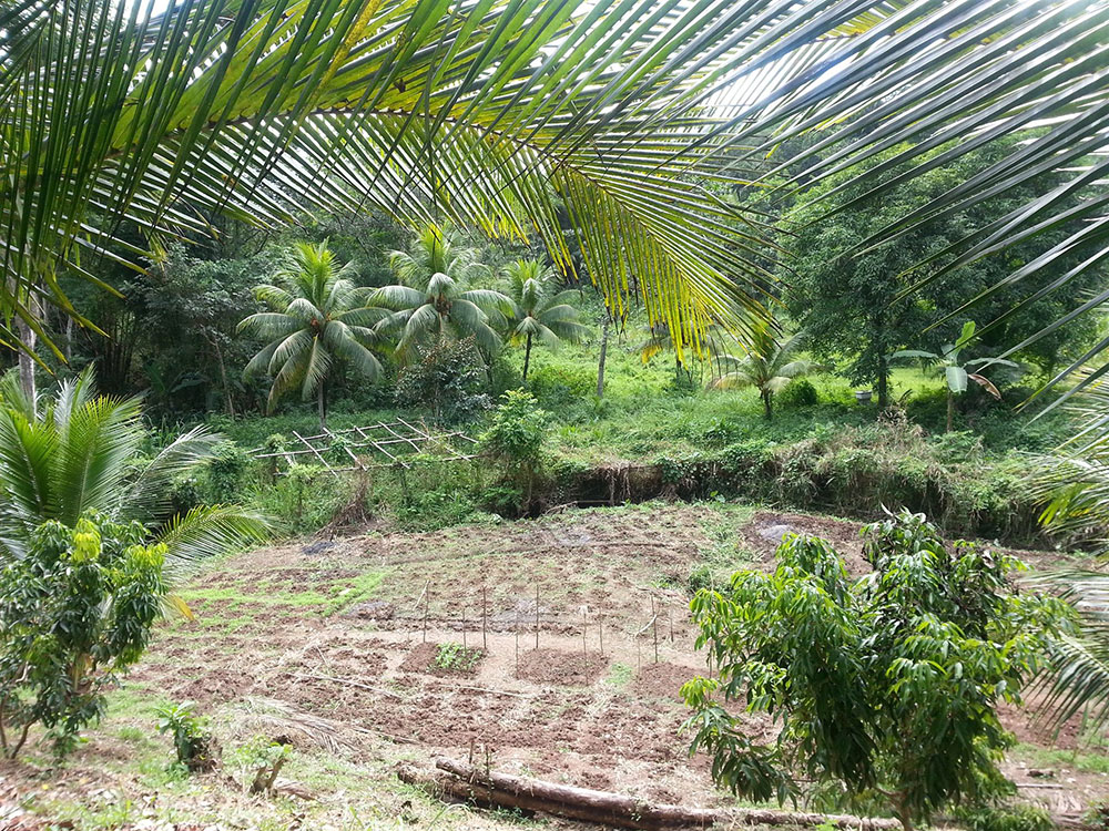 Zimbali Retreat Farm Tour Farm